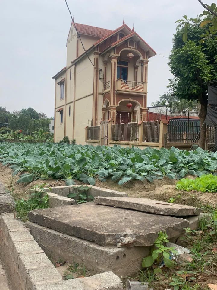 Đất Nền Vinolympic Thường Tín 86m² - Giá Đầu Tư 3.25 Tỷ