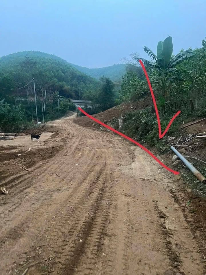 Đất Nền Yên Thủy 4660m² - Hơn 1 Tỷ, 1500m² Thổ Cư, Gần QL12B