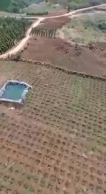 Đất Vườn 13000m² Đắk Drô - Sổ đỏ chính chủ, cà phê thu hoạch ngay!