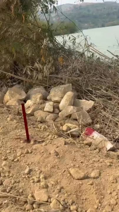 Đất vườn Krông Nô Đắk Nông 2520m² giá 800 triệu - Giá tốt hiếm có!