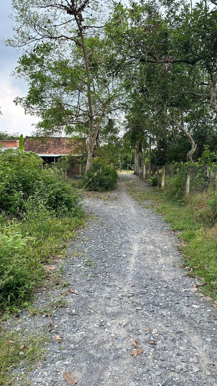 Đất nền Gò Dầu Tây Ninh 1120m² giá chỉ hơn 1 tỷ - Sổ hồng sẵn