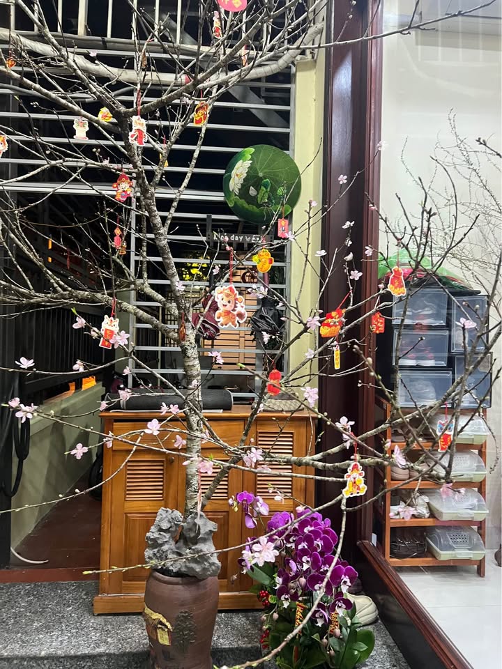 Bán đất Phường Đông Thành 65m² giá 2 tỷ - Đường to ô tô vào tận đất!