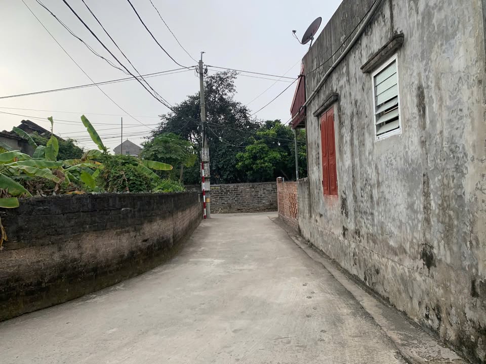 Đất nền Ninh Phúc TP Ninh Bình 92m² 1 tỷ - Sổ đỏ chính chủ!