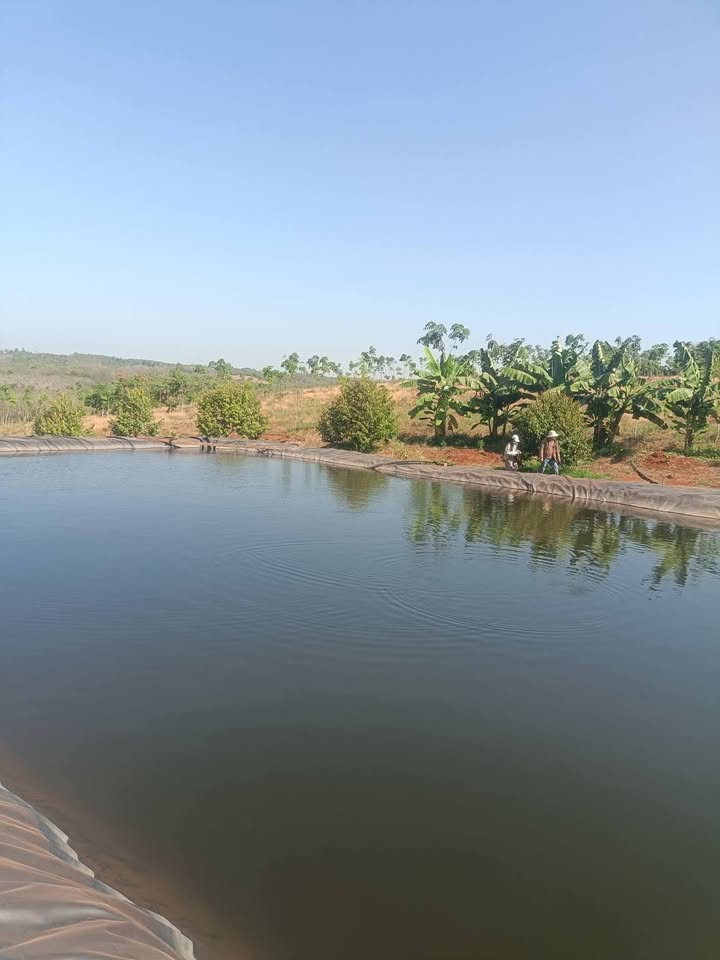 Đất vườn Phú Nghĩa Bù Gia Mập 2.7ha - Đầu tư dài hạn, sổ hồng sẵn!