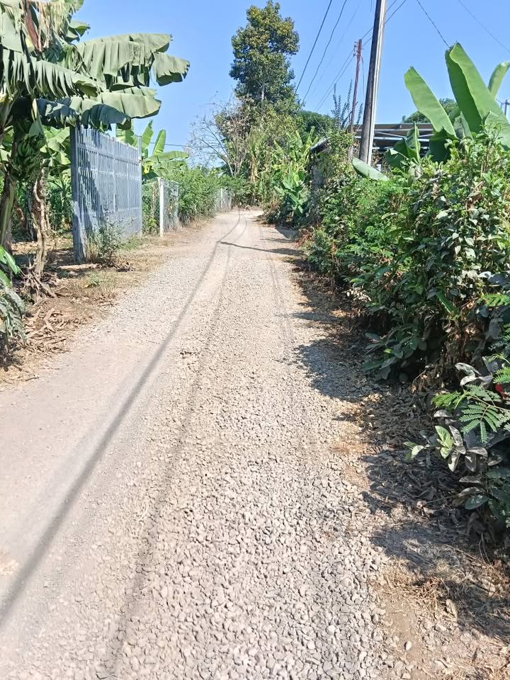 Đất Nền Đồng Nai 1500m² Sổ Đỏ - Giá 490 Triệu/Sổ