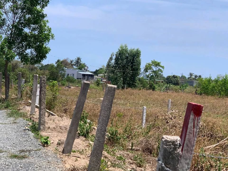 Bán Gấp Đất Nền 165m² Phường Phước Hội, La Gi - Sổ Hồng Riêng, Giá 6xx Triệu