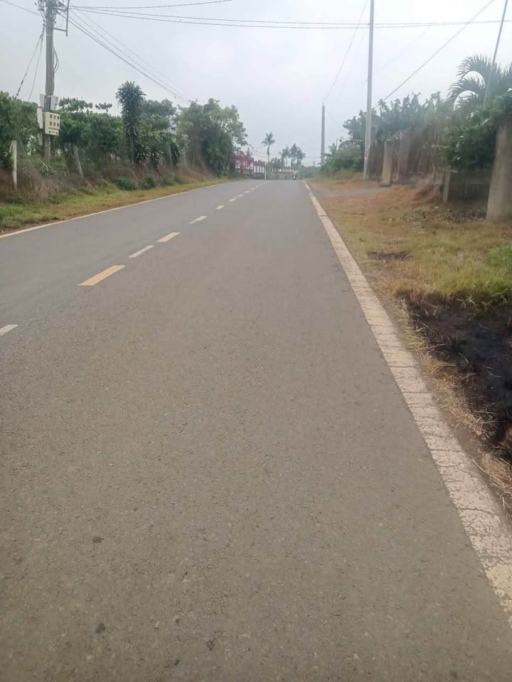 Đất Vàng Bảo Lộc - 8800m² Mặt Tiền Đoàn Thị Điểm, View Thoáng Đẹp