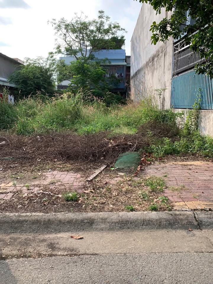 Đất nền TDC Vạn Hạnh 125m² Long Đất - Pháp lý rõ ràng!