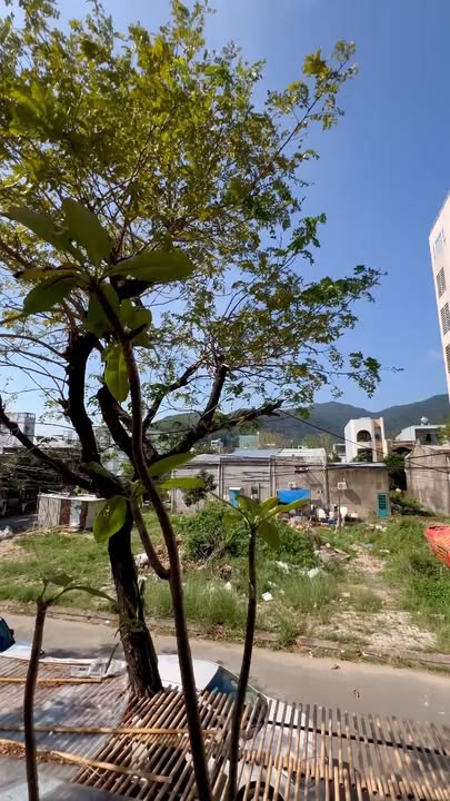 Cho thuê nhà mặt tiền Sơn Trà - 230m² view biển, phong cách Hội An