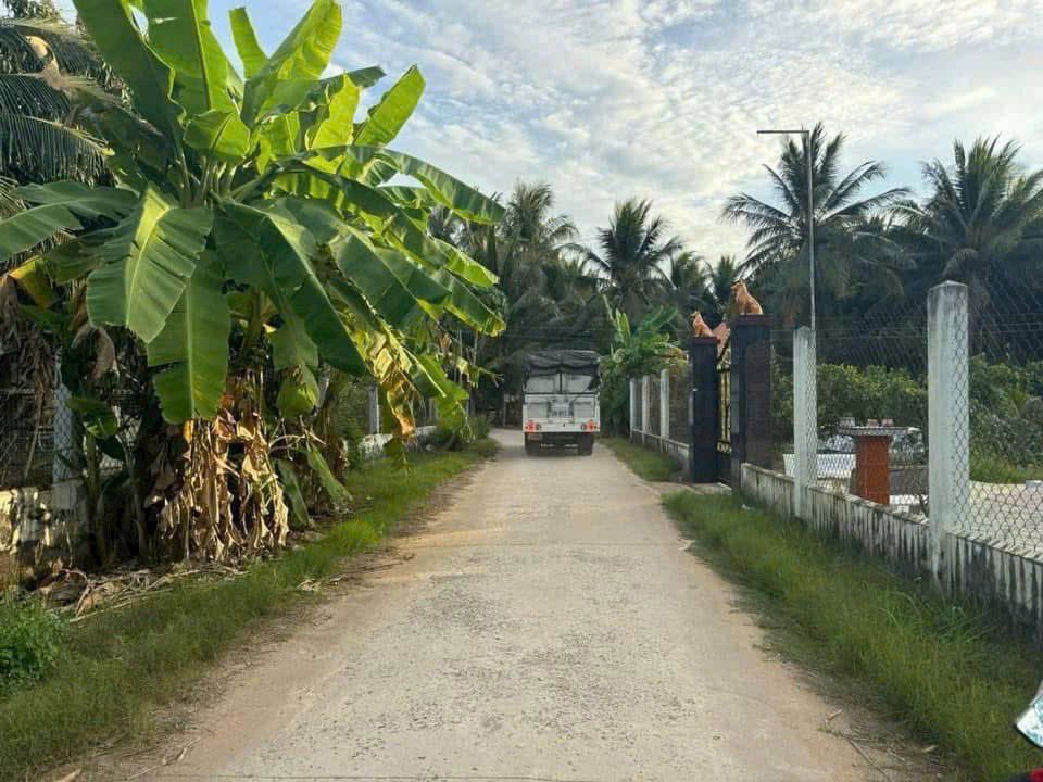 Đất nền Phú Nhuận Bến Tre 100m² - Sổ hồng chính chủ, xây dựng tự do