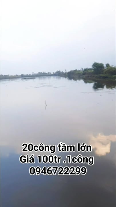 Bán Đất Farm An Minh Kiên Giang 20.000m² 2 Tỷ Đầu Tư Sinh Lời