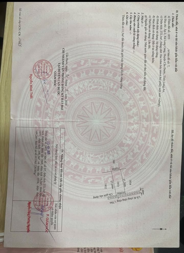 Lô đất Long Cang, Cần Đước 272m² - Sổ hồng chính chủ, tiềm năng đầu tư!