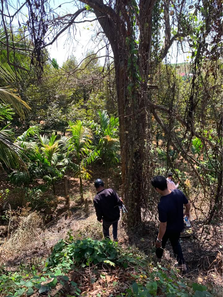 Mặt Tiền ĐT 741 Đồng Xoài 630m² - Đầu tư sinh lời hiếm có!