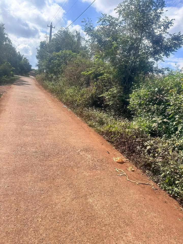 Đất nền Đắk Lắk 300m² - Sổ thổ cư, 2 mặt tiền - Chốt gấp giá 750 triệu