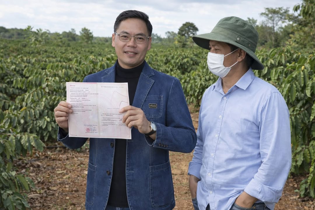 Đất Nền Quảng Sơn Đăk Nông 10ha - Vườn Sầu Riêng Kinh Doanh, Giá Tốt Cuối Năm