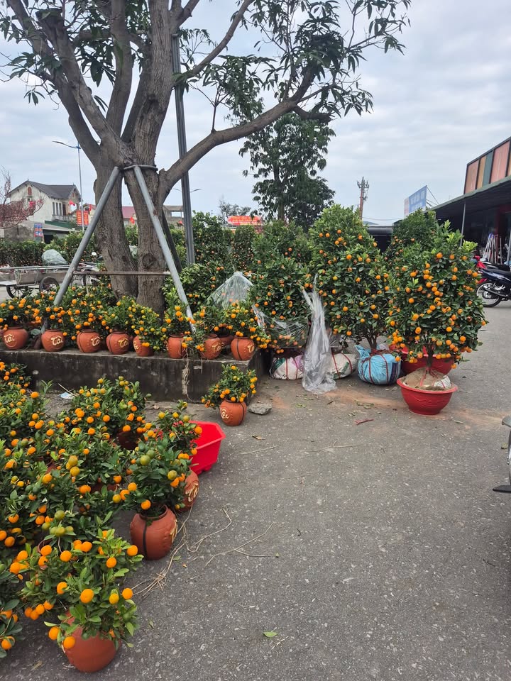 Đất nền Cẩm Dương 340m² - Đất thổ cư 100%, pháp lý rõ ràng!