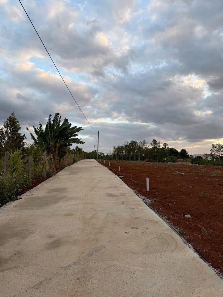 Bán Gấp Đất Thị trấn IaKha (Chư Prông) 595m² - Giá Đầu Tư 200 Triệu