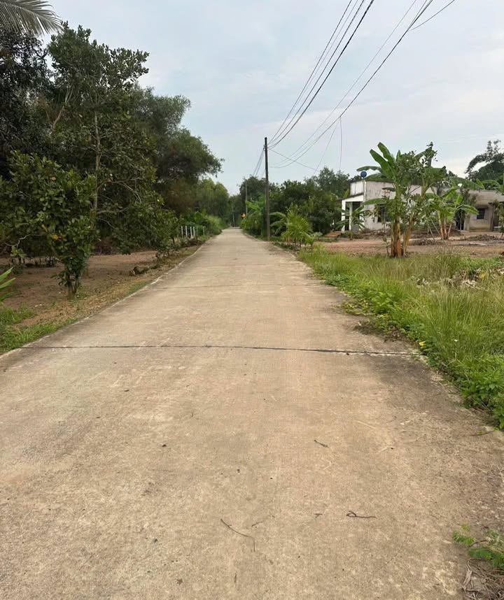 Đất nền Tà Lài Tân Phú 1600m² giá 770 triệu - Sổ đỏ chính chủ!