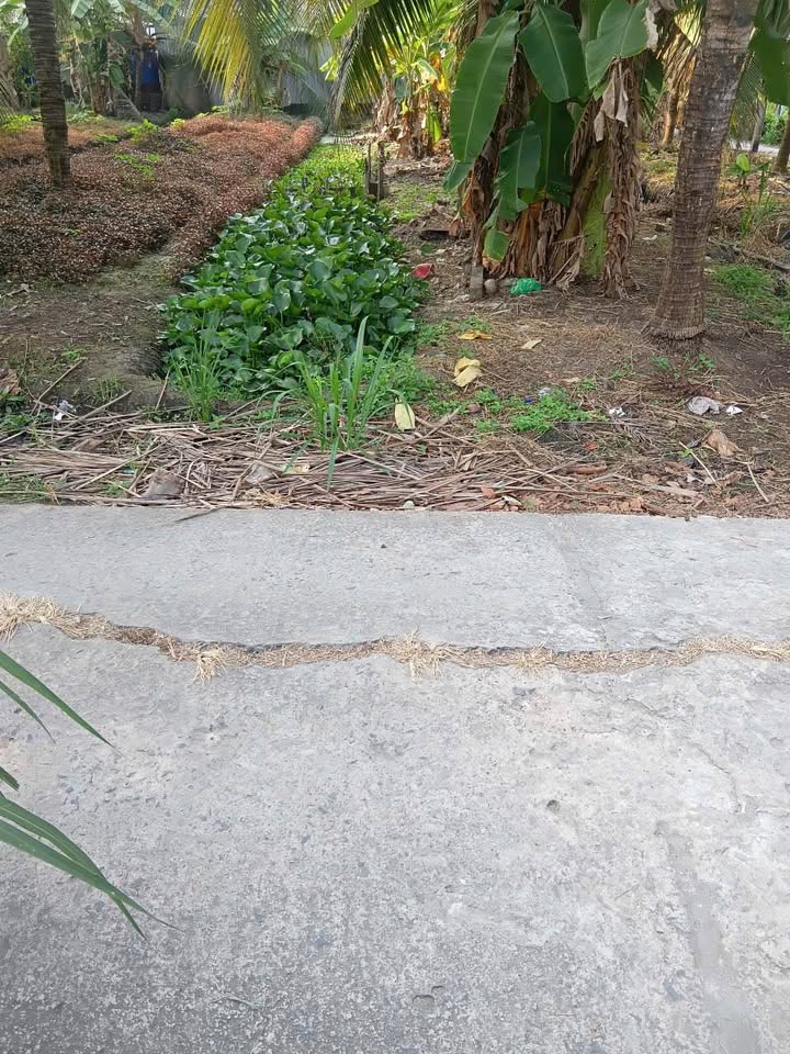 Đất nền Tân Hòa Thành Tân Phước 136m² giá 360 triệu - Sổ đỏ chính chủ