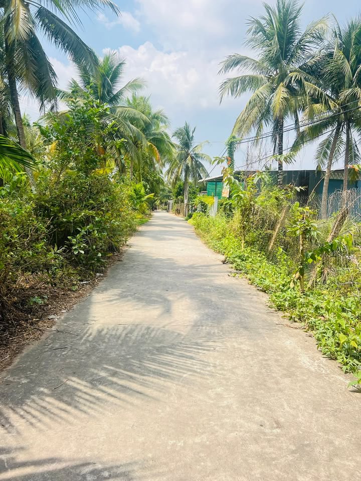 Đất vườn Châu Thành Tiền Giang 1470m² 2 tỷ - Nghỉ dưỡng lý tưởng!