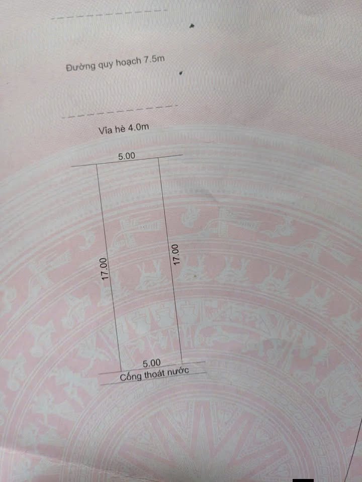 Đất Mặt Tiền Bùi Hiển An Khê 85m² - Vị Trí Vàng Kinh Doanh