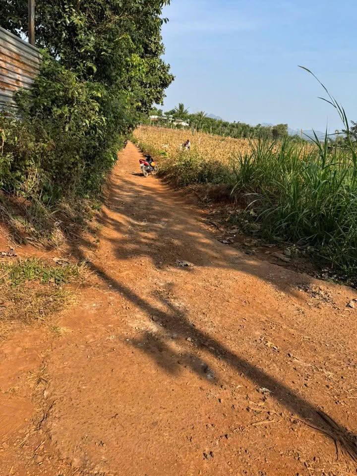 Đất nền Quảng Hiệp 739m² giá 259 triệu - Tiềm năng tăng giá!