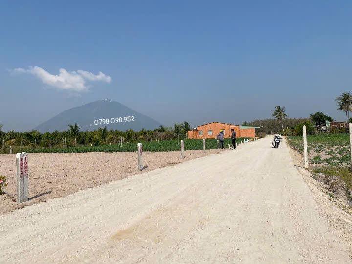 Đất nền Dương Minh Châu 185m² - Sổ hồng sẵn, giá chỉ 359 triệu