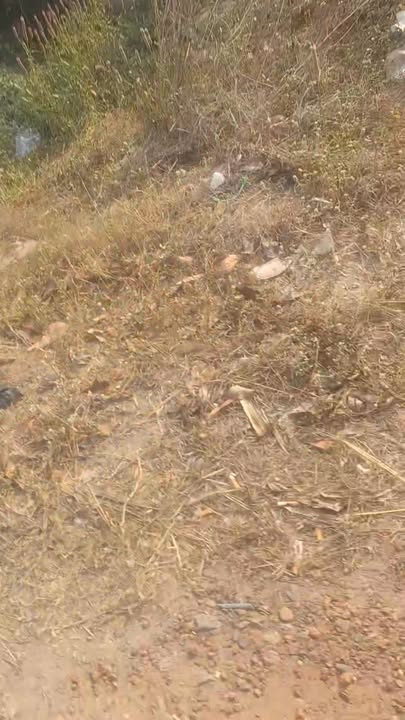 Đất Nền 205m² Gần TL786 - Chỉ 320 Triệu, Sổ Hồng Thổ Cư