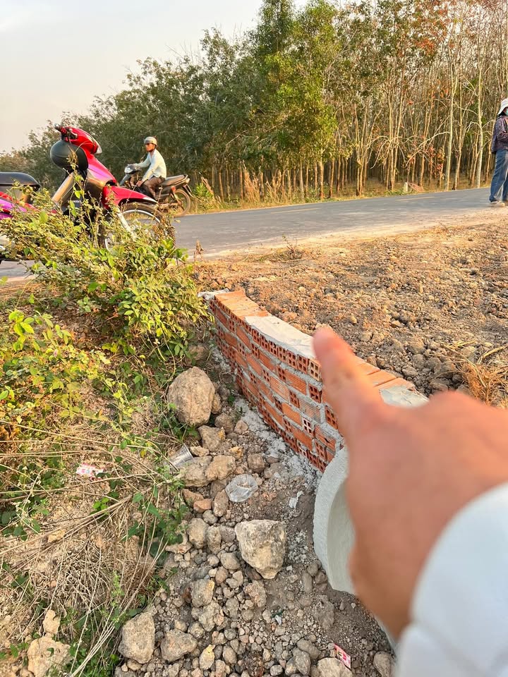 Đất Vàng Tỉnh Lộ 786, Tây Ninh 98.4m² - Sổ Đỏ Sẵn Sàng