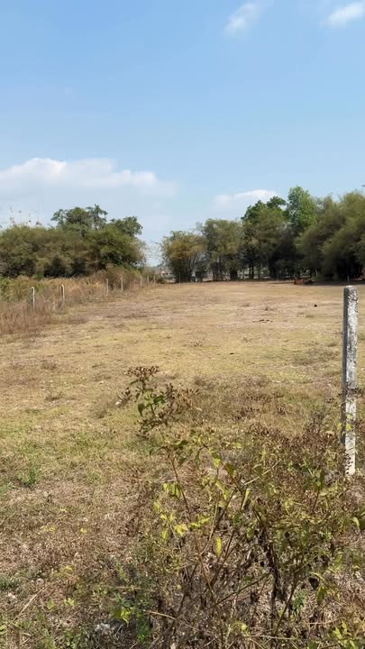 Đất Vườn 1580m² Sổ Hồng Riêng - Xã Long Thuận, Bến Cầu, Tây Ninh