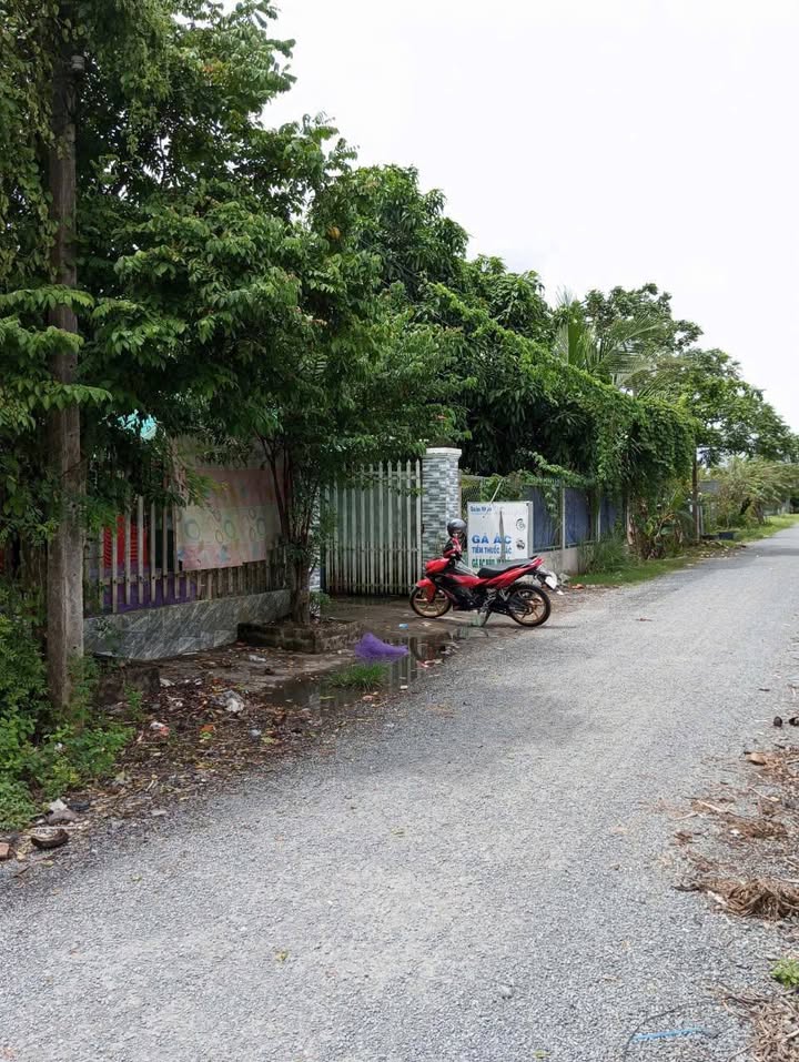 Đất nền Mang Thít 528m² giá 2.5 tỷ - Đường to ô tô!