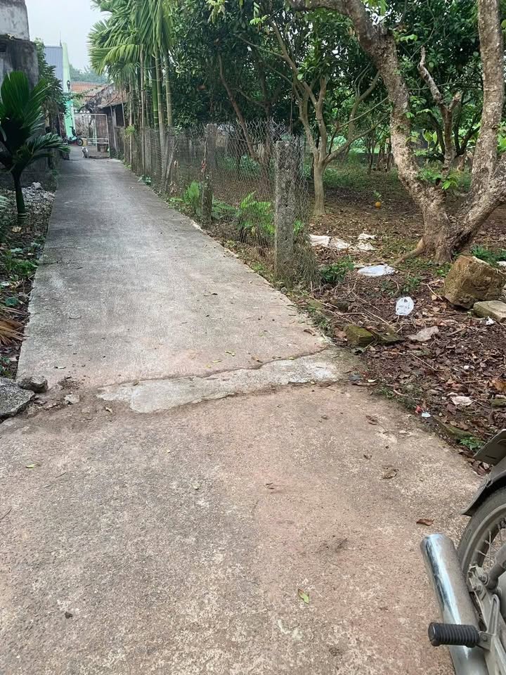 Đất nền 160m² Bình An, Hà Nam - Giá 5xx triệu, gần chợ, ô tô vào tận nơi