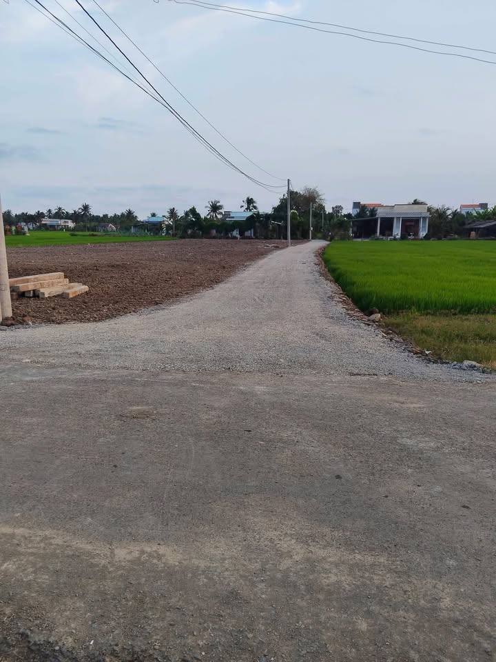 Đất Nền Sổ Hồng 110m² Giá Chỉ 300 Triệu - Gần Chợ, QL50