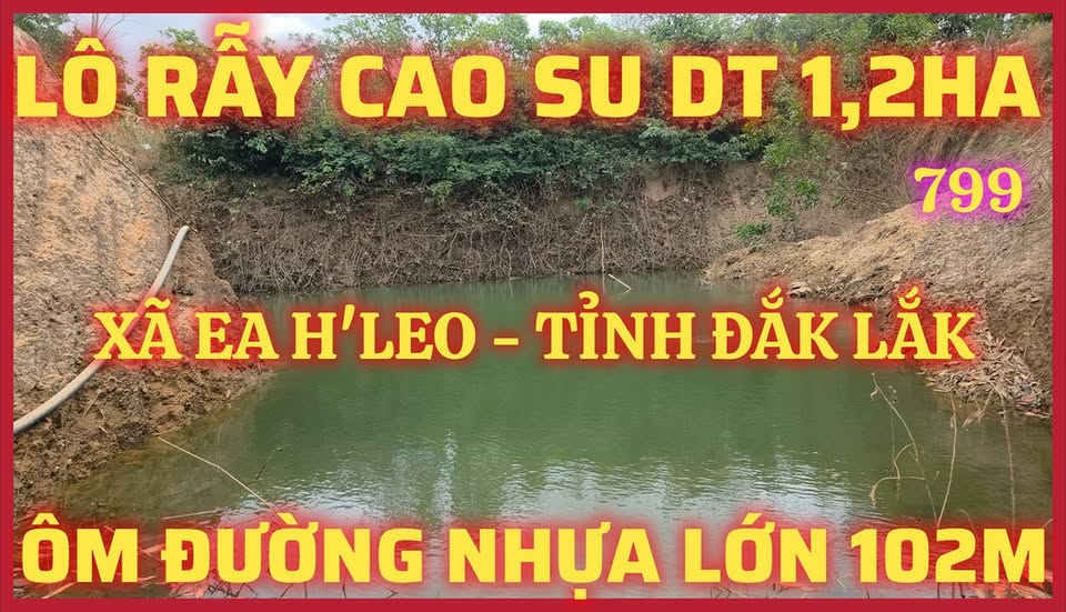 Bán Đất Rẫy Cao Su 12.000m² Mặt Tiền Tỉnh Lộ Ea H'leo, Đắk Lắk - Giá 1.3 Tỷ