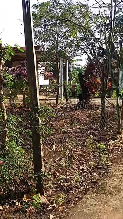 Đất nền Hòa Xuân Tây Đông Hòa 392m² - Sổ đỏ chính chủ