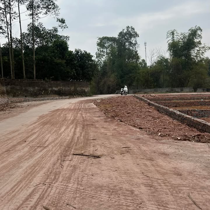 Đất Nền 2 Mặt Tiền 100m² Sổ Đỏ Tại Cao Xá, Bắc Giang - Giá Tốt