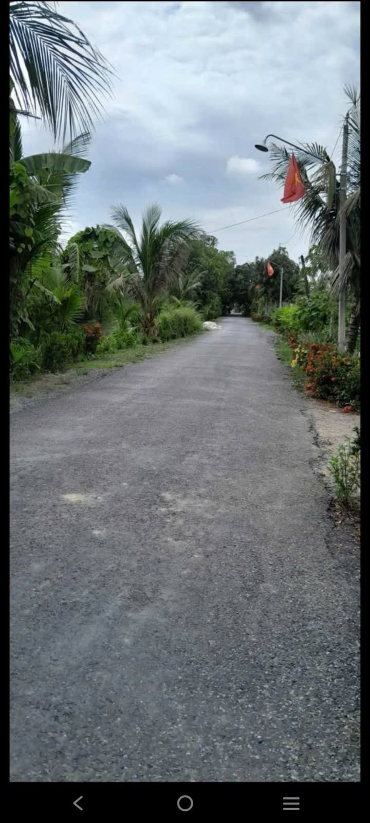 Đất Vườn Mặt Tiền 25m Đường 846, Tháp Mười - 1.6 Tỷ, Sổ Cây Lâu Năm