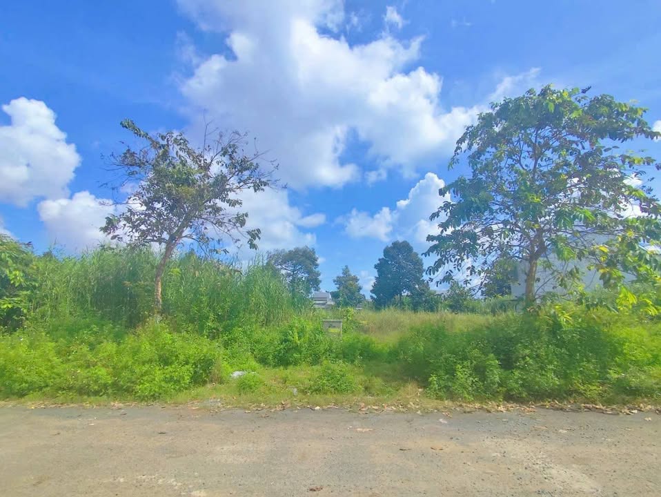 Đất nền Cái Răng 100m² 1.85 tỷ - Tiềm năng tăng giá vượt trội!