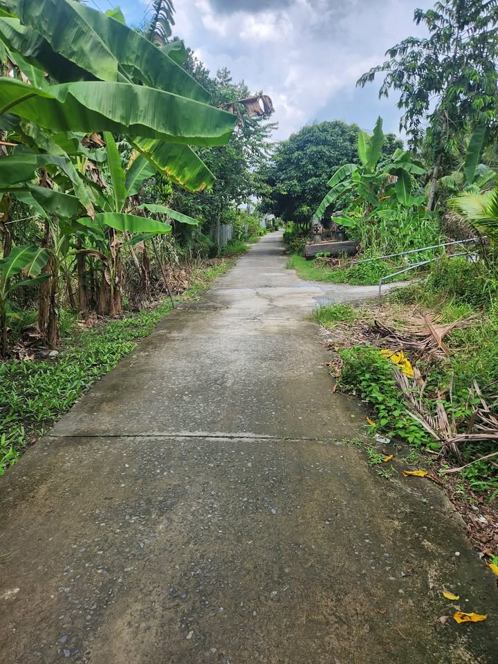 Bán Nền 4950m² Hậu Giang - Lộ Ô Tô, Giá 700 Triệu