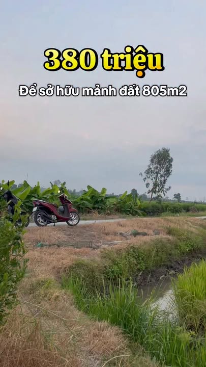Đất nền Kênh Hội Đồng Quỳ Cần Thơ 805m² - Sổ hồng công chứng ngay!