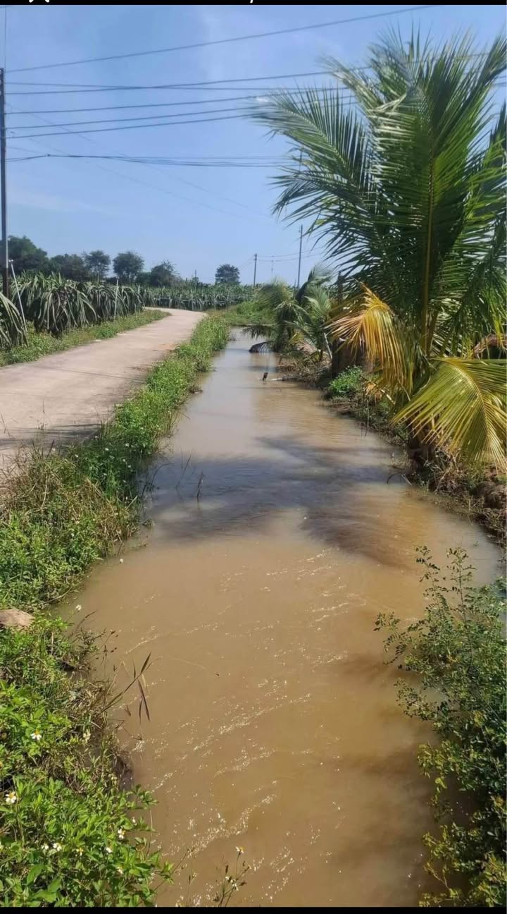 Bán Đất Nền 1700m² Mặt Tiền Đường Bê Tông, Phan Thiết - Giá Tốt