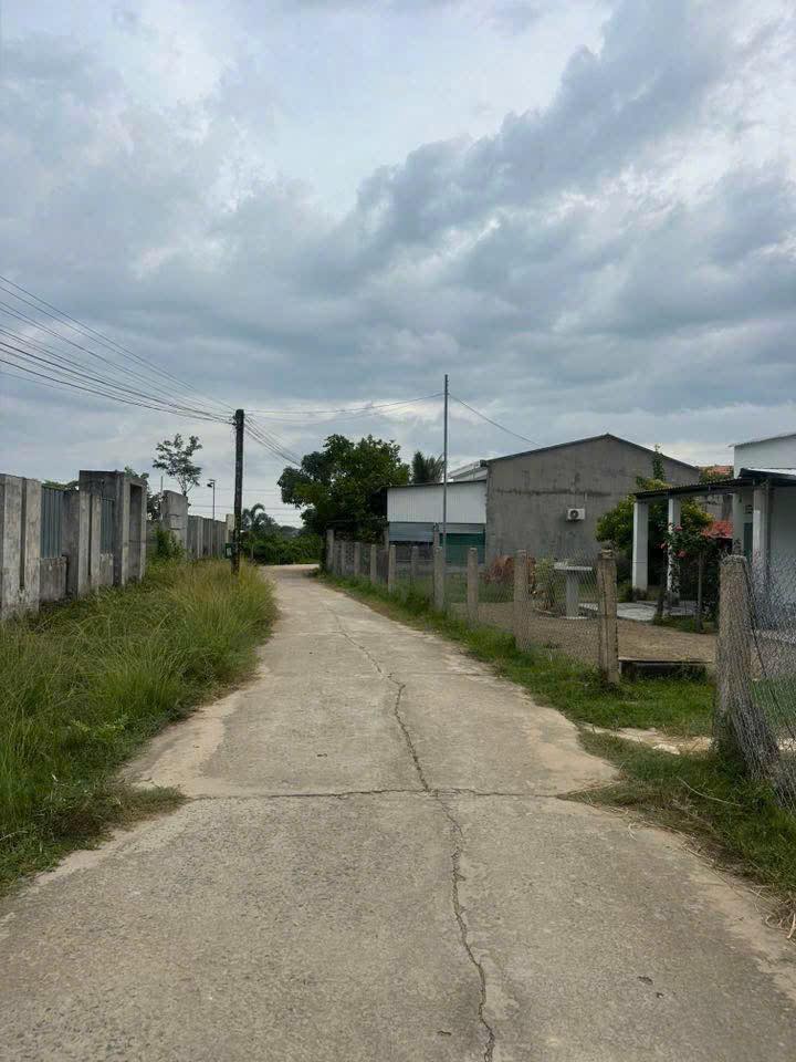 Đất Nền Hàm Thuận Nam 1152m² - Sổ Đỏ Sẵn, Giá 250 Triệu, Ô Tô Tới Đất