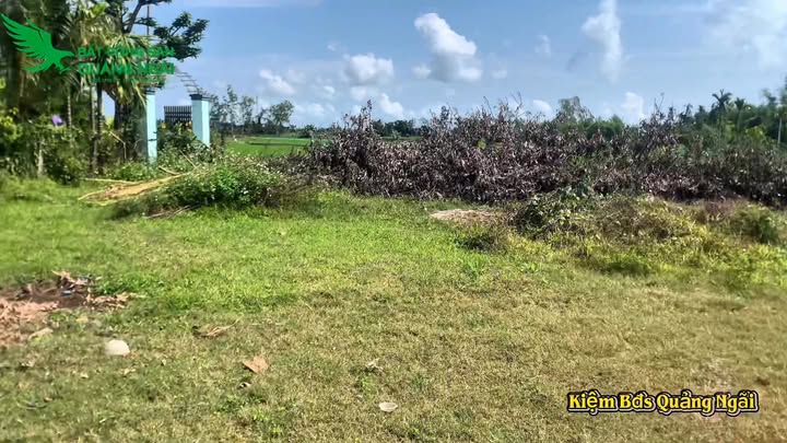 Đất nền 260m² sổ đỏ view đồng ruộng, giá chỉ 499 triệu/lô tại Quảng Ngãi