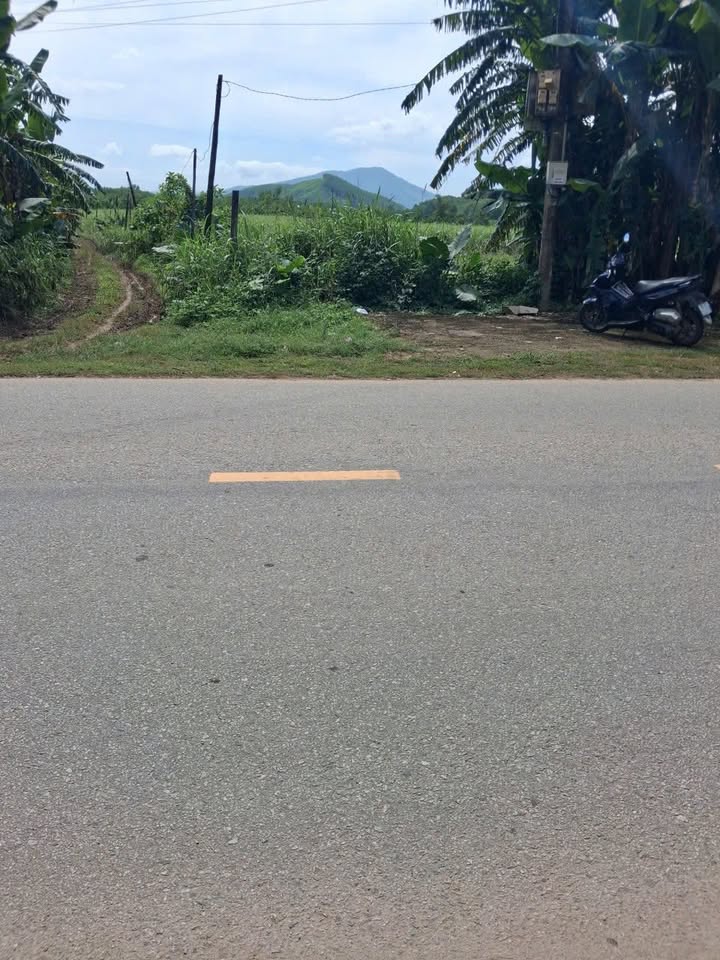 Đất vườn Quảng Ngãi 1285m² - Giá đầu tư tốt, mặt tiền Tỉnh lộ!