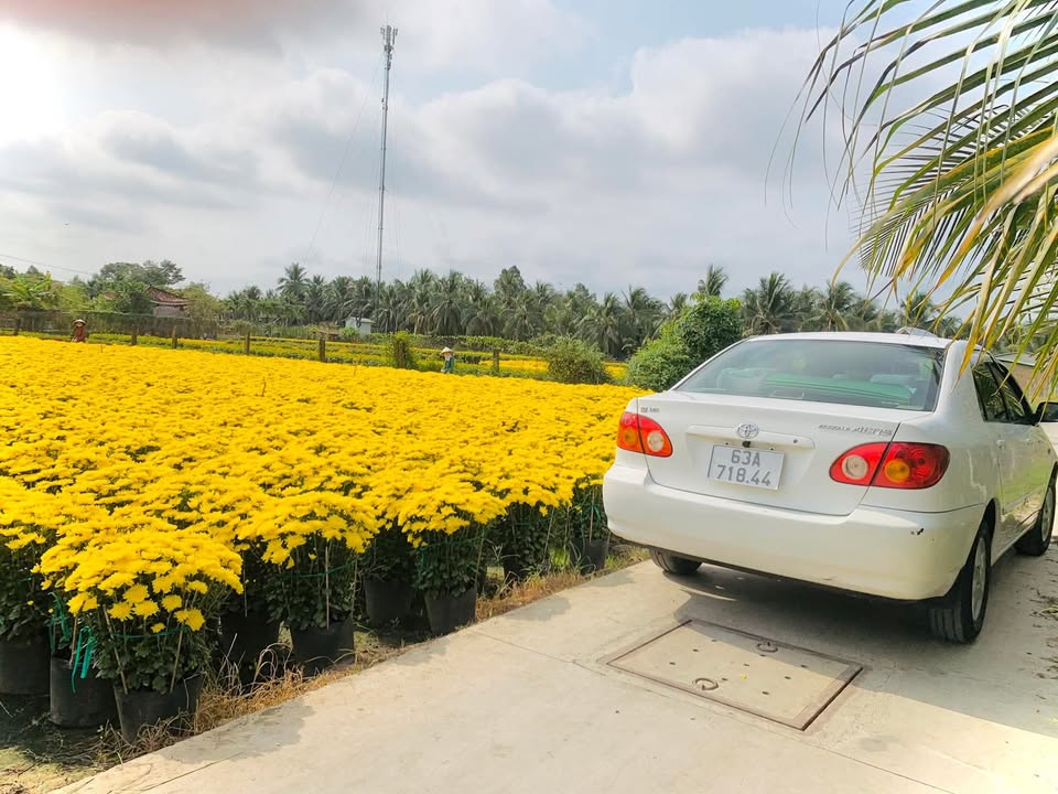 Đất nền F0 Đạo Thạnh, Mỹ Tho 140m² - Giá chỉ 5 tỷ, ô tô vào tận nơi!