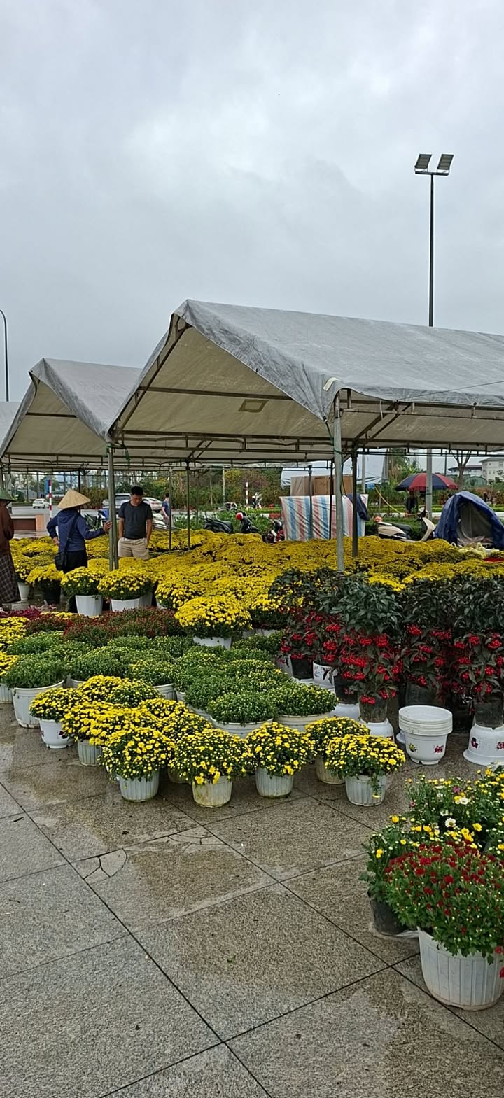 Đất nền Ngõ Nguyễn Biểu Hà Tĩnh 119.5m² - Tiềm năng tăng giá vượt trội!