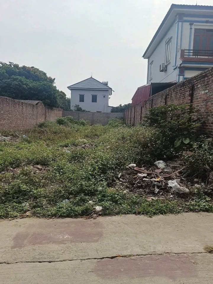 Đất nền Hiệp Hòa, Bắc Giang 170m² - Sổ đỏ chính chủ, tiềm năng tăng giá!