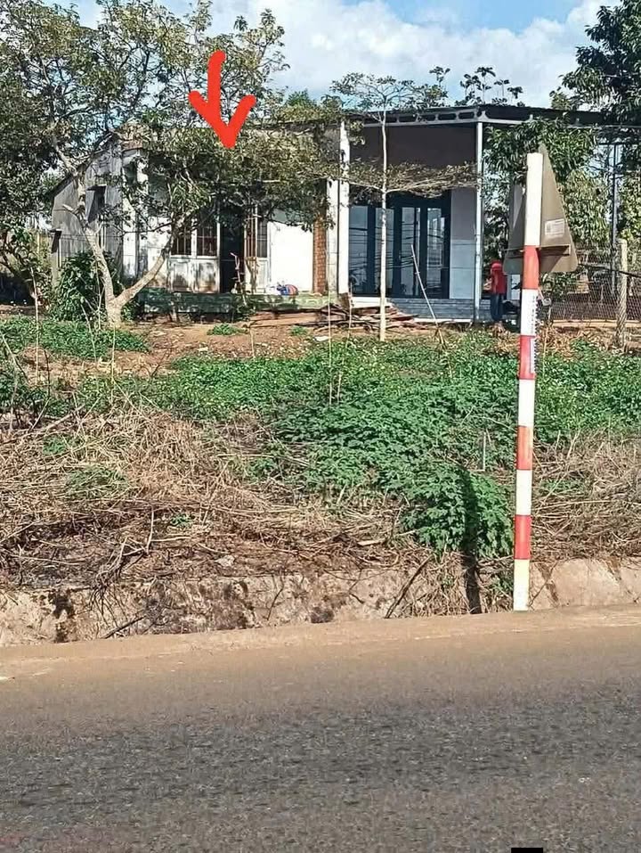 Bán Gấp Nhà 270m² Full Thổ Cư Mặt Tiền Quốc Lộ 29, Buôn Hồ - 1.8 Tỷ