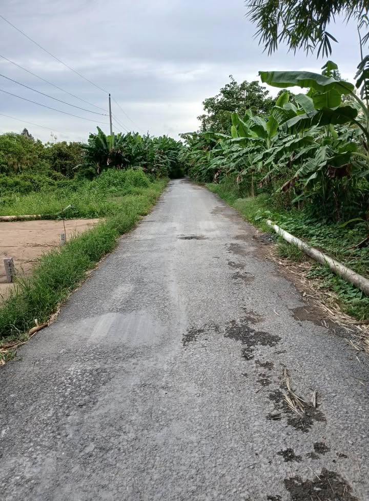 Đất nền Tân Phú Trung, Đồng Tháp 190m² - Đường to ô tô, sổ đỏ sẵn!