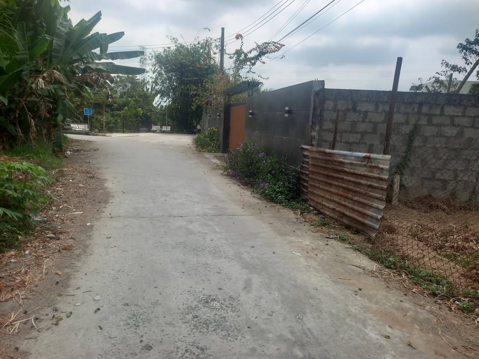 Đất Nền Nghỉ Dưỡng Phong Điền Cần Thơ 270m² - Sổ Thổ Cư, Giá 1.35 Tỷ